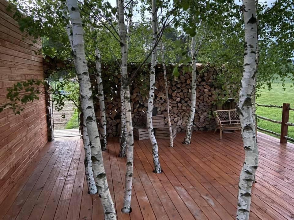Domek Na Uboczu Gryfow Slaski Exterior photo